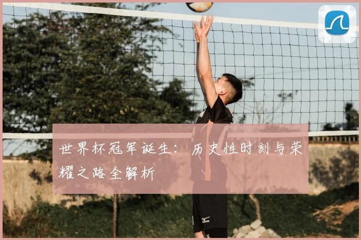 世界杯冠军诞生:历史性时刻与荣耀之路全解析