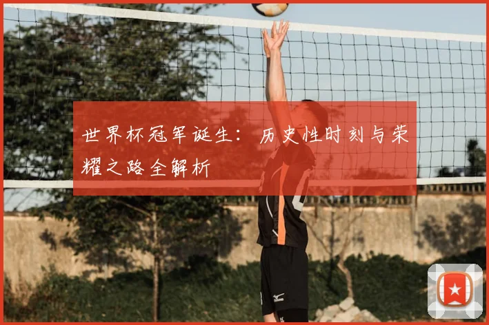 世界杯冠军诞生：历史性时刻与荣耀之路全解析